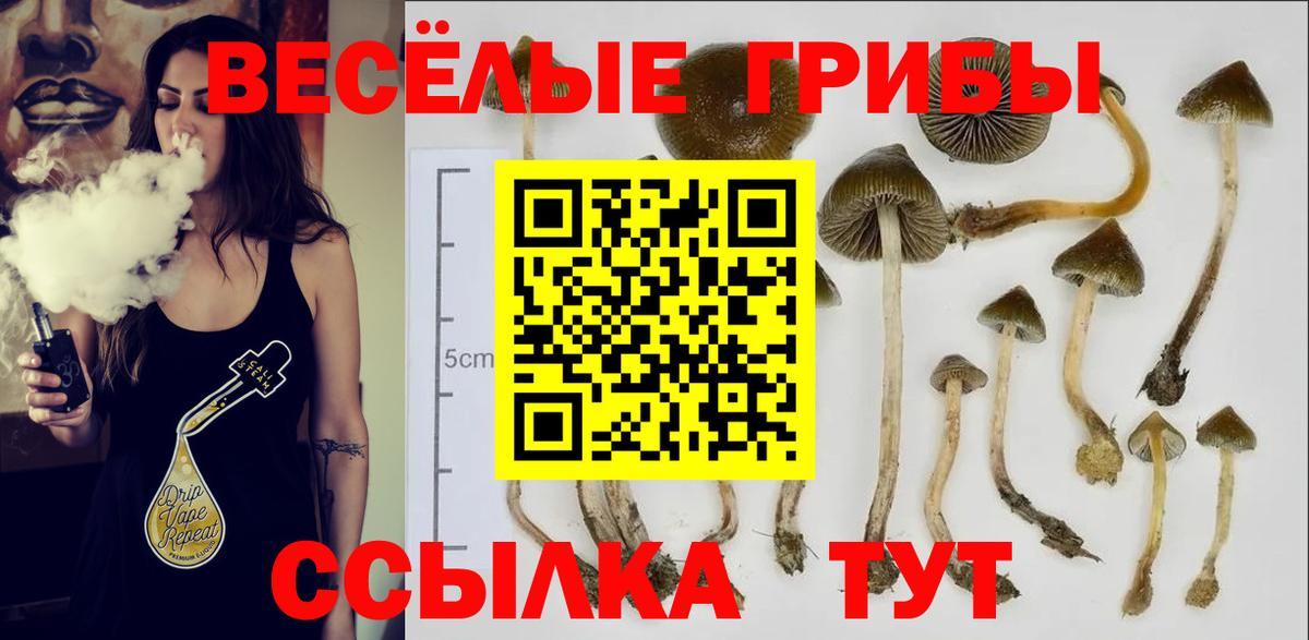 Галлюциногенные грибы GOLDEN TEACHER  Псилоцибиновые грибы Psilocybe  Жуковский  Вход с VPN 